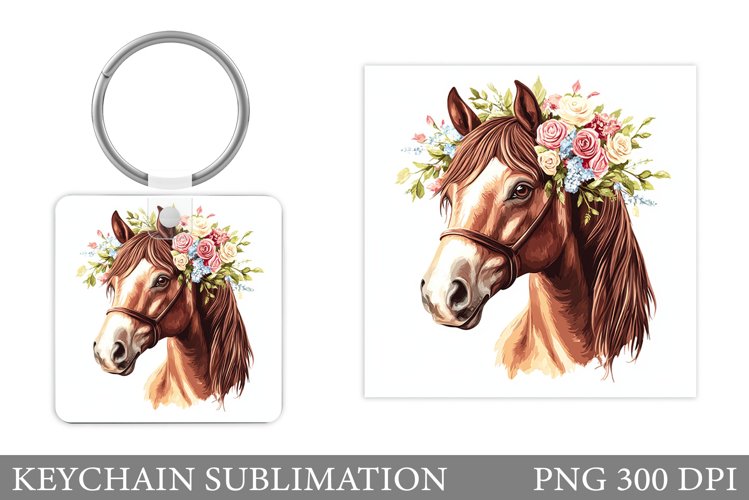 Cute Horse Pictures Image 16