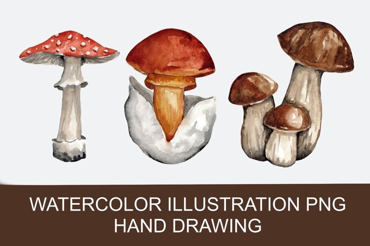Watercolor autumn mushrooms PNG, hand-drawn example image 1