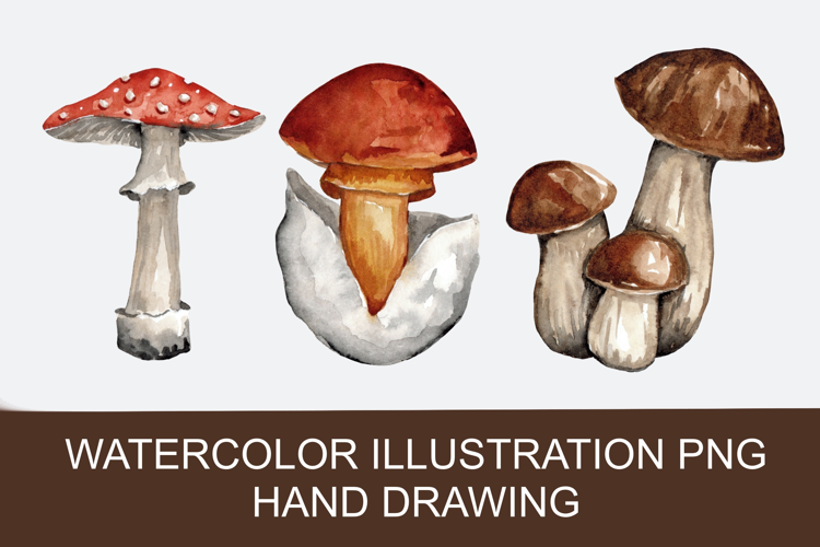 Watercolor autumn mushrooms PNG, hand-drawn