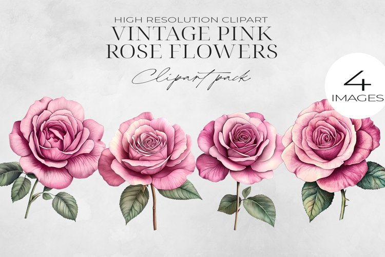 Vintage Pink Rose Flowers Clipart PNG.