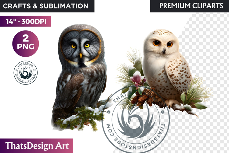 Owl Watercolor Winter Animal Clipart Arctic Wildlife PNG