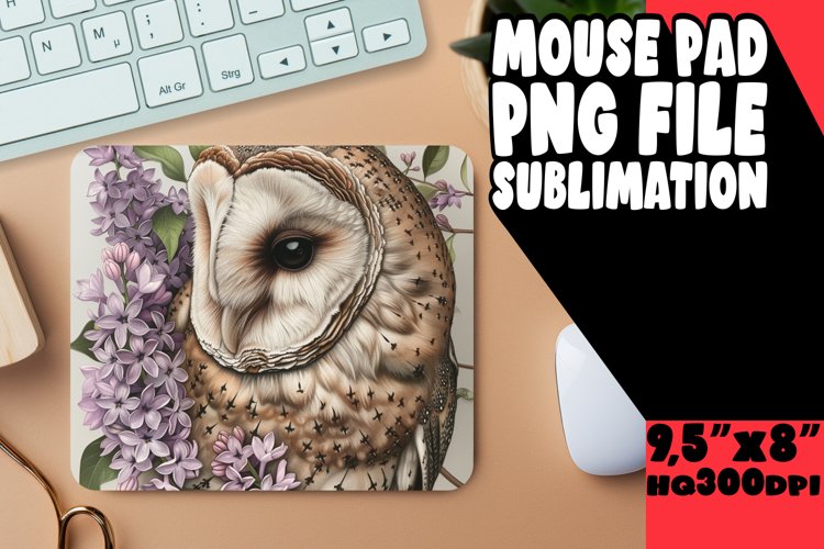 Owl Clipart Image 15