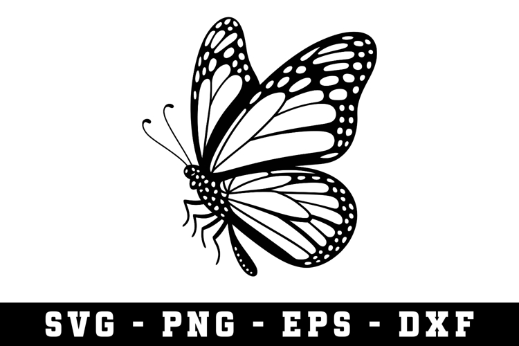 Butterfly SVG | SVG Cut files | Cricut