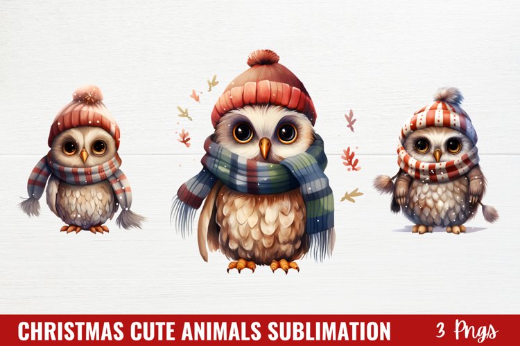 Owl Clipart