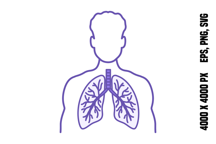Lungs Clipart Image 5