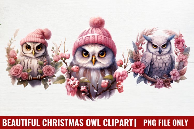 Owl Clipart Image 6