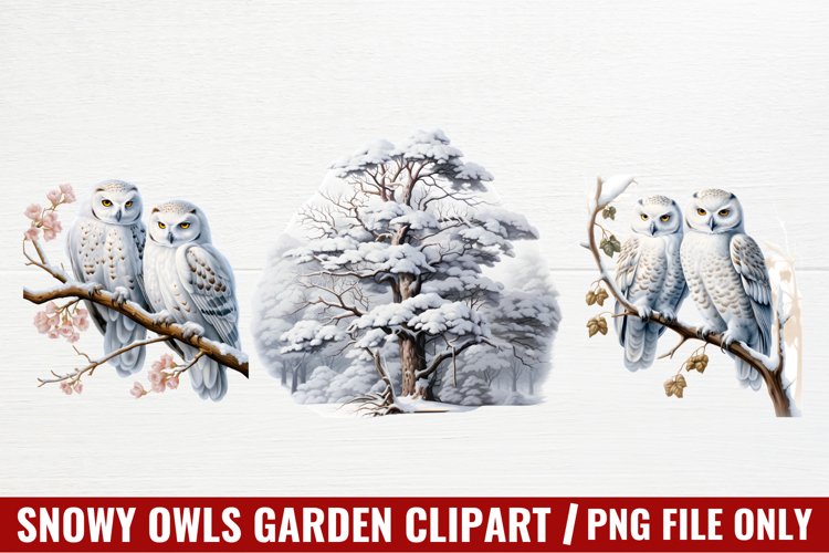 Christmas Snowy Owls Garden Clipart