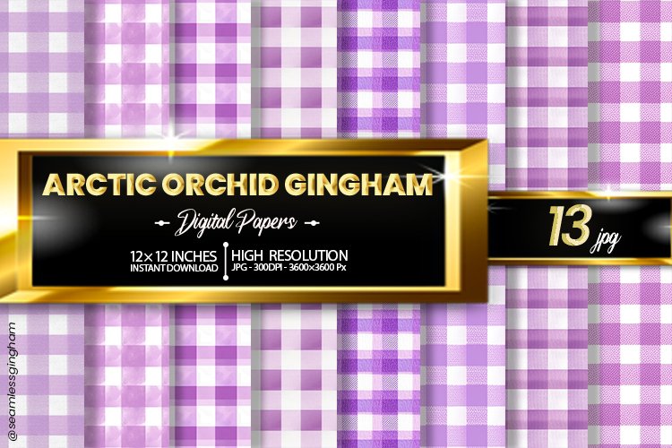Orchid Clipart Image 22