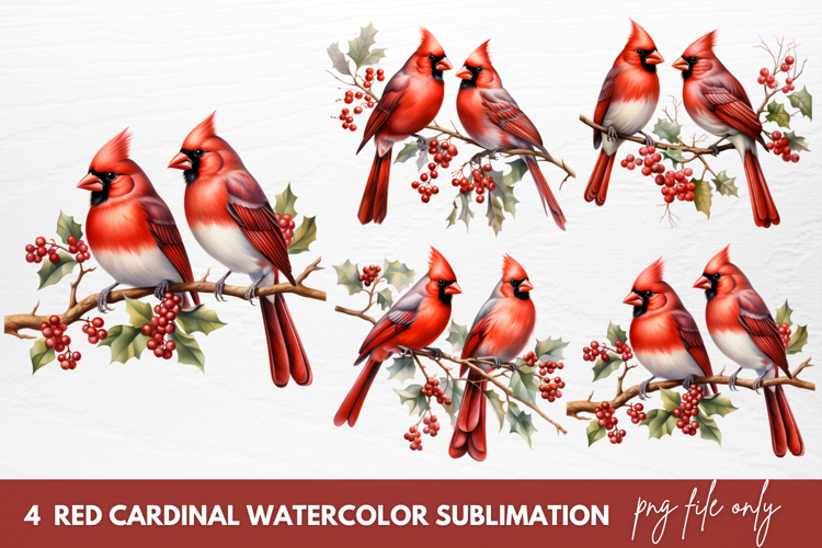 Cardinal Clipart Image 9