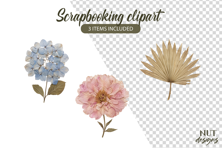 Dried Flowers Clipart Floral Scrapbooking Peony hydrangea example image 1