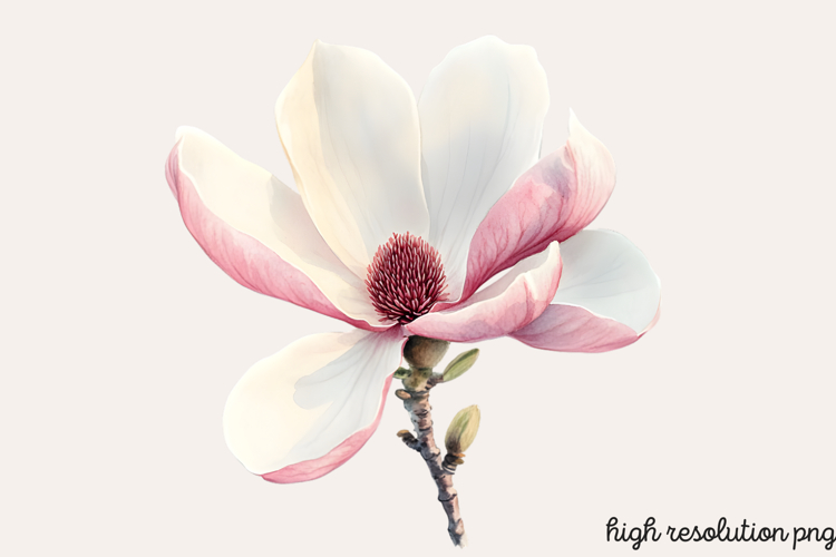 Boho SVG Image 19