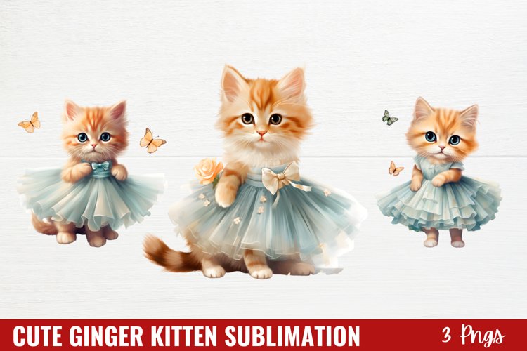 Kitten Png Image 16