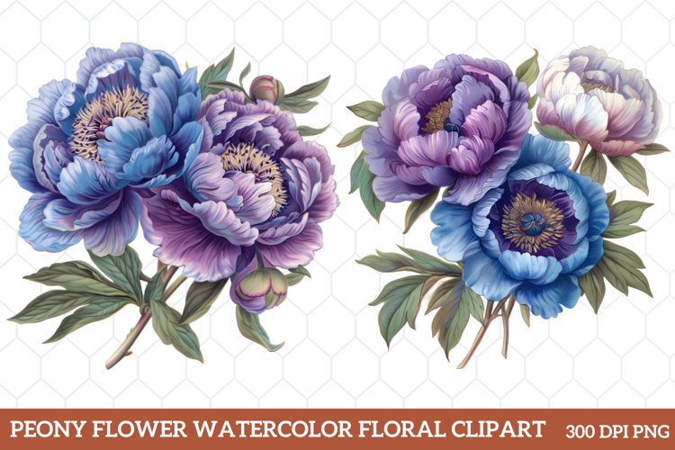 Border Clipart Image 18