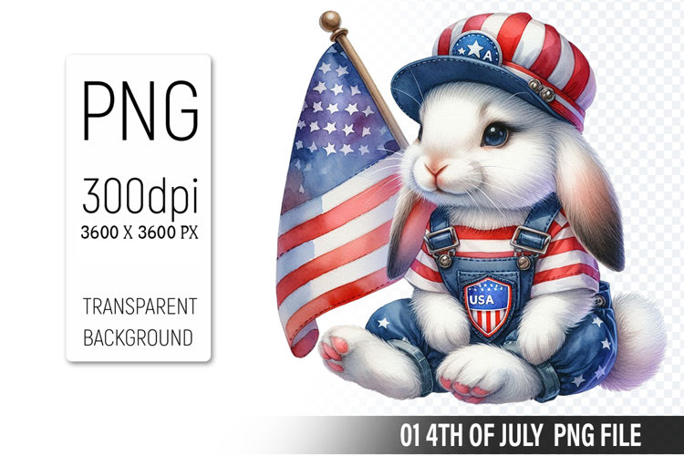 American Flag Png Image 19