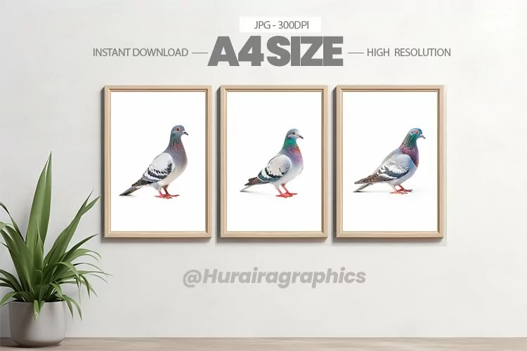 Bird Wall Art - 03 Variations