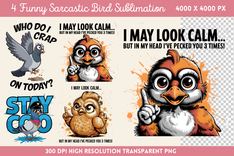 Bird PNG Image 12