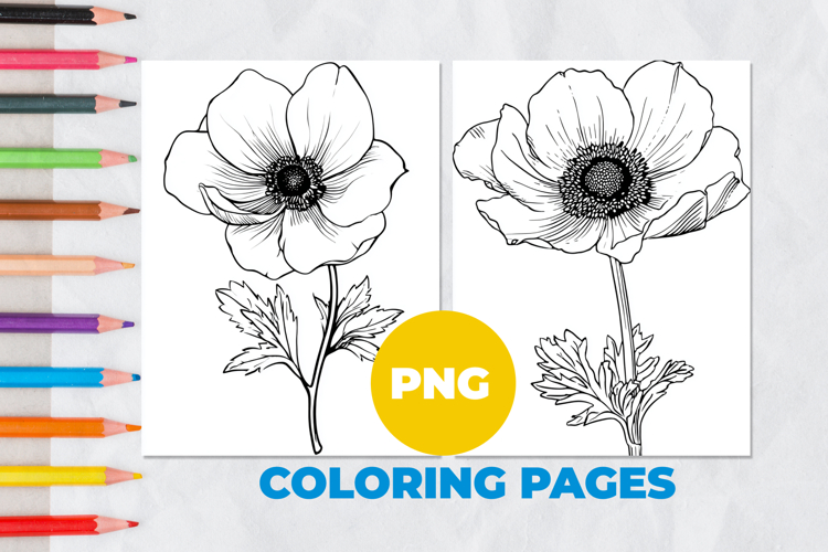 Anemone flower Coloring Pages | Coloring book