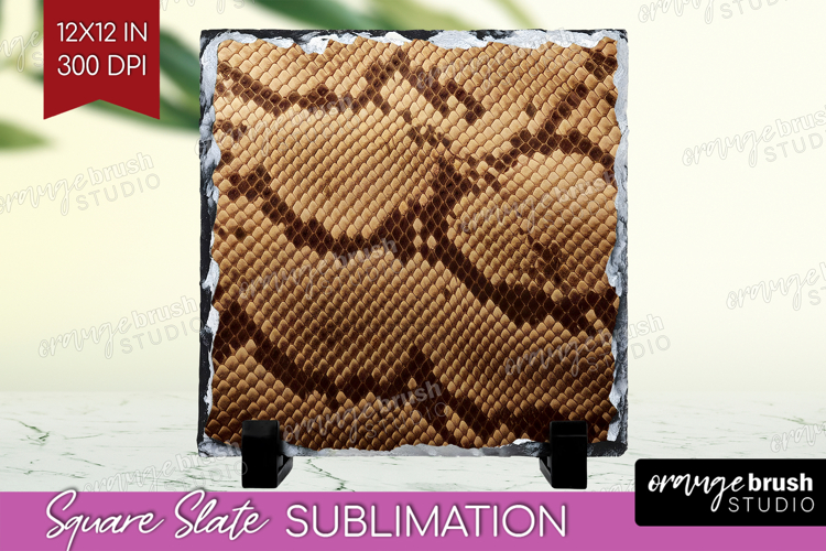 Skin Texture Image 21