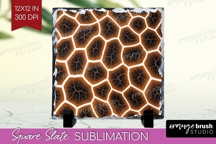 Animal Print Png Image 18