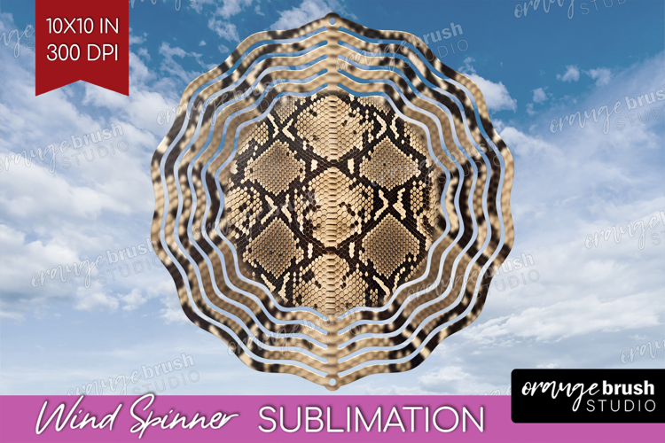 Skin Texture Image 13
