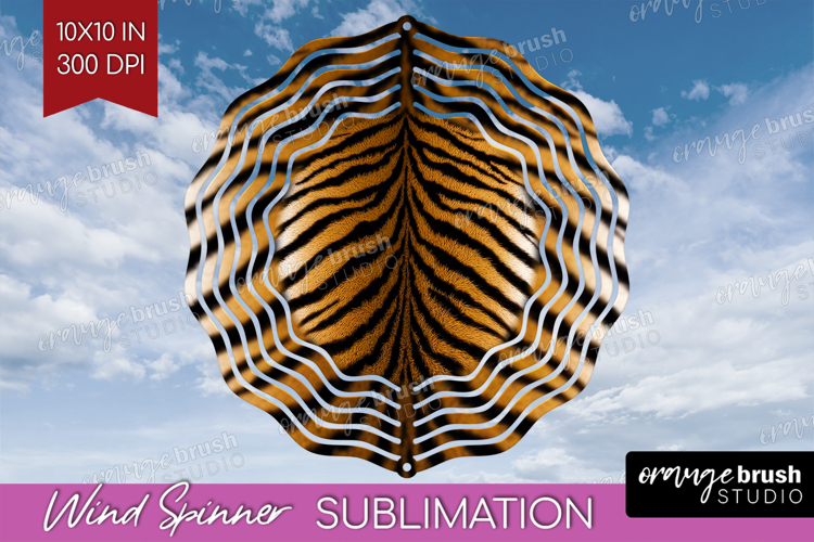 Skin Texture Image 12