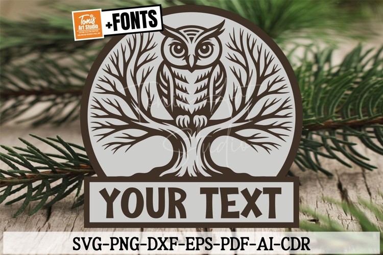 Family Tree Png Image 6