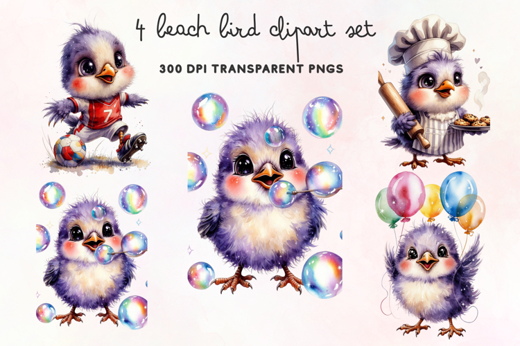 Beach Bird Clipart PNG