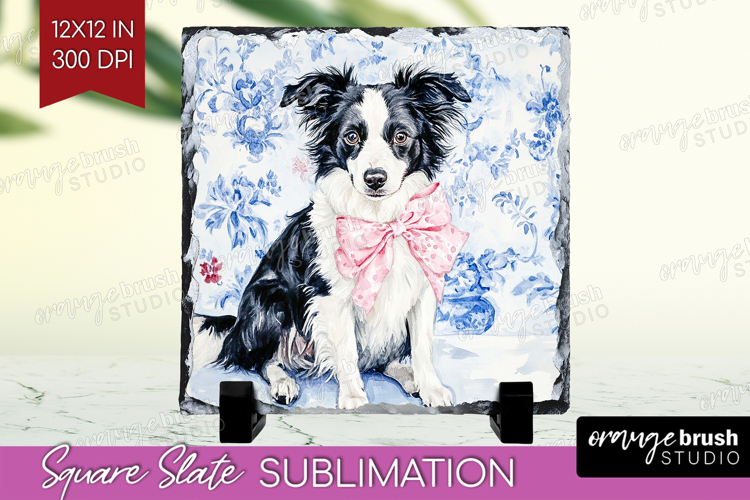 Border Collie Dog Slate PNG Blue Toile Square Slate