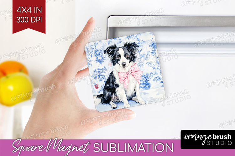 Border Collie Clipart Image 12