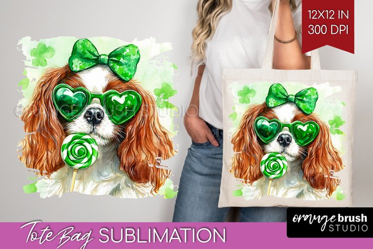 St Patrick's Day PNG Image 14