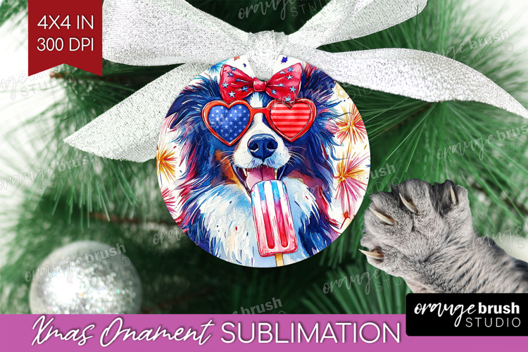 Ornament Png Image 11