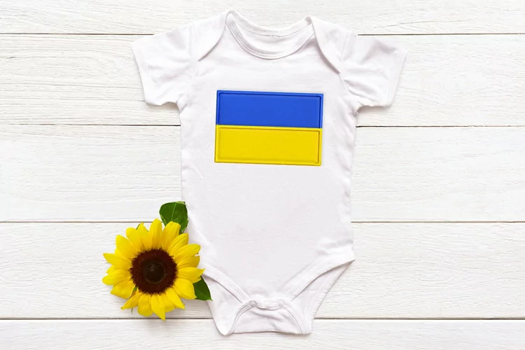 2 Color Horizontal Stripe Flag Applique Embroidery File