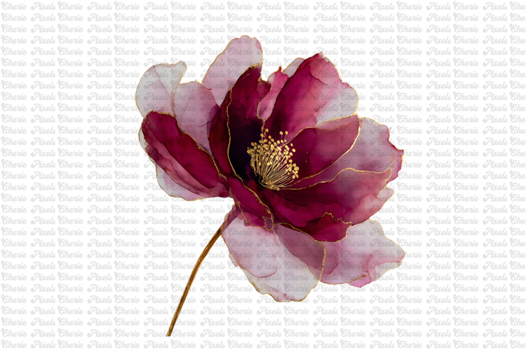 12 Burgundy Red and Gold Flowers PNG