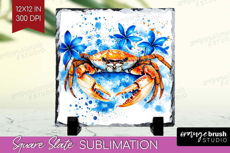 Crab Png Image 20
