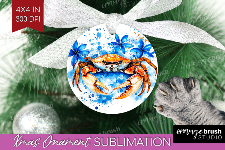 Crab Png Image 19