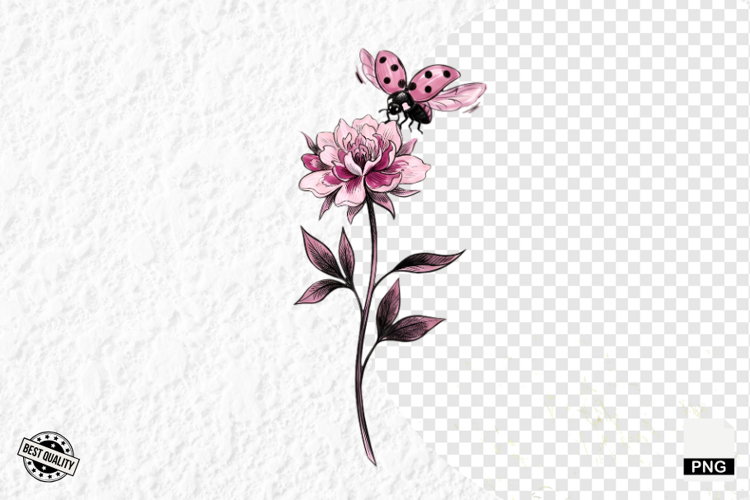 Lady Bug Clipart