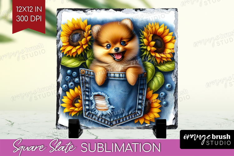 Denim Slate PNG - Dog In Pocket Square Slate Sublimation