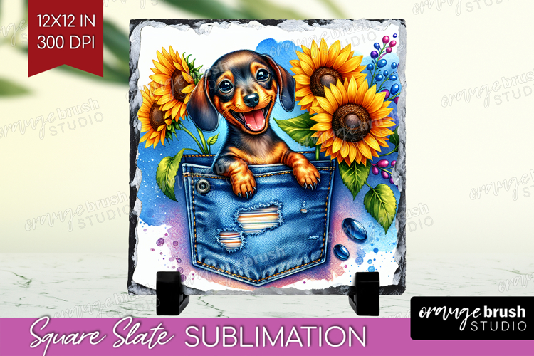 Denim Slate PNG - Dog In Pocket Square Slate Sublimation