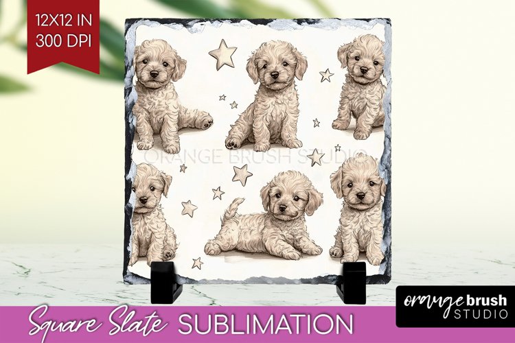 Puppy Png Image 23