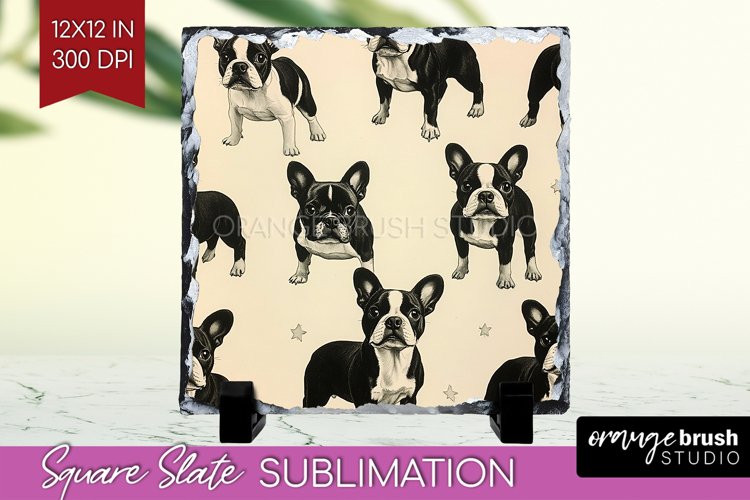 Puppy Png Image 22