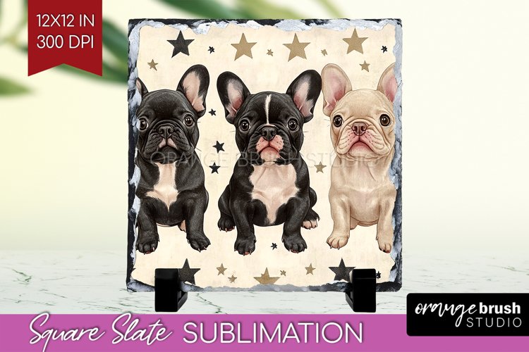 Puppy Png Image 20