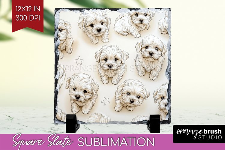 Puppy Png Image 18