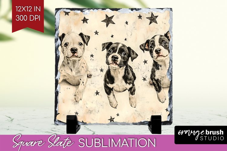 Puppy Png Image 15