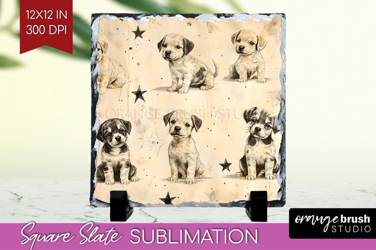 Puppy Png Image 14