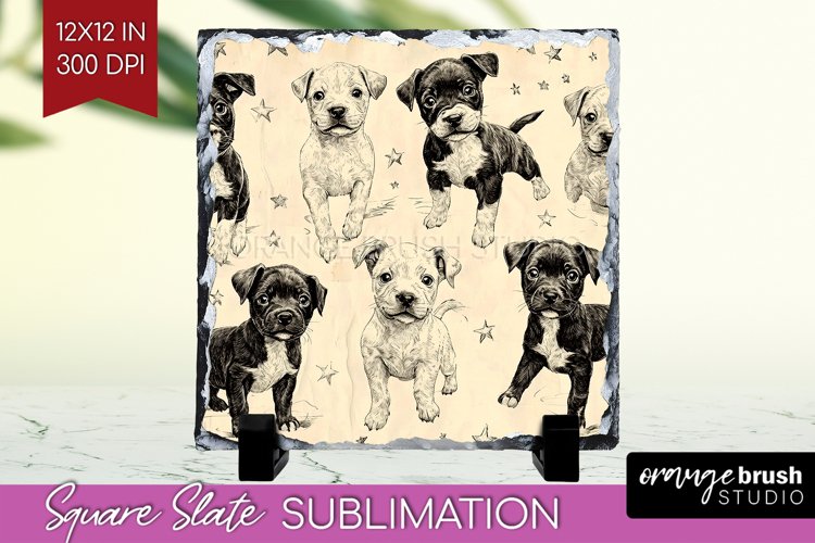Puppy Png Image 12