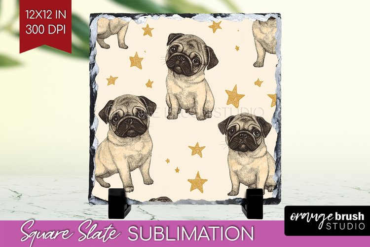 Puppy Png Image 8
