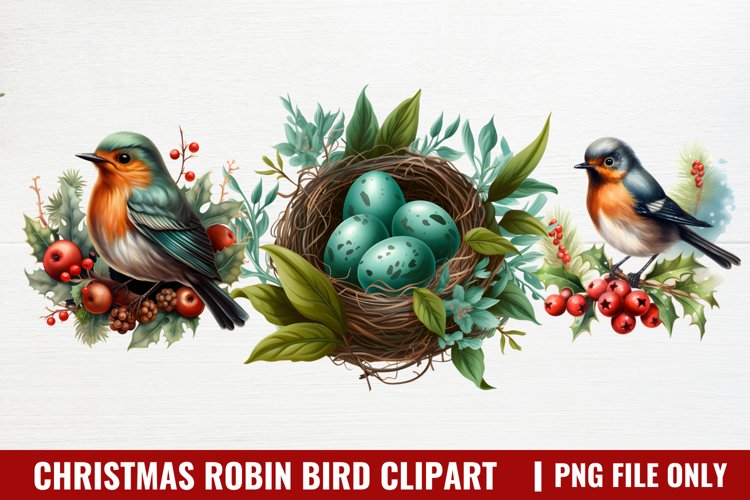 Robin Clipart Image 9
