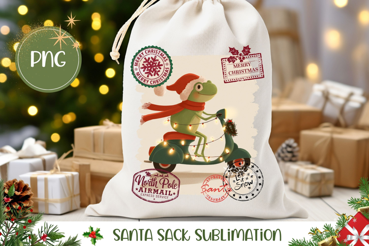 Cartoon Christmas Frog Santa Sack, Winter Gift Bag Design