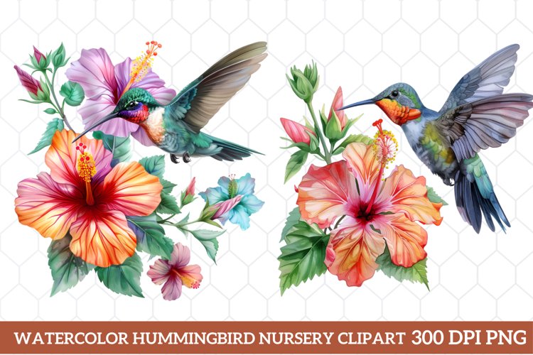 Hummingbird Clipart Image 22
