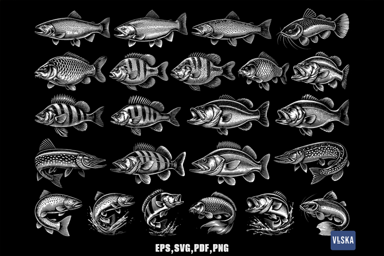 Freshwater Fish SVG Vector Bundle